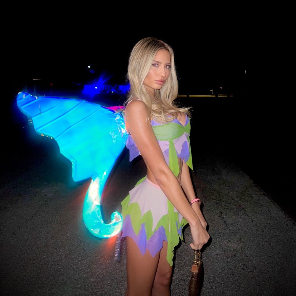 Trashy lingerie costume fairy